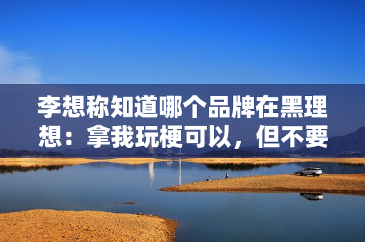 李想称知道哪个品牌在黑理想：拿我玩梗可以，但不要恶意诋毁理想车主