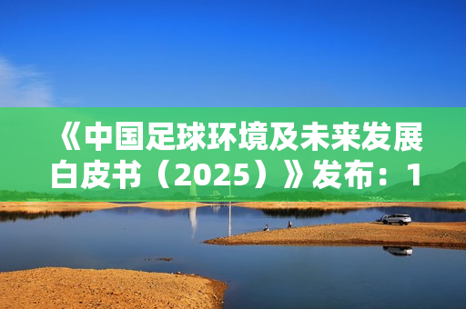 《中国足球环境及未来发展白皮书（2025）》发布：100吋大屏电视成球迷客厅新标配