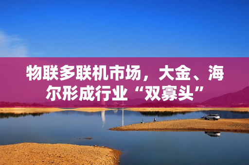 物联多联机市场，大金、海尔形成行业“双寡头”