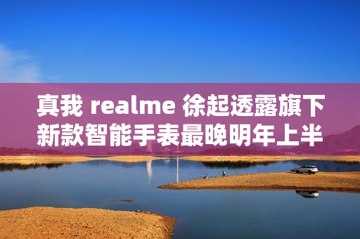 真我 realme 徐起透露旗下新款智能手表最晚明年上半年发布