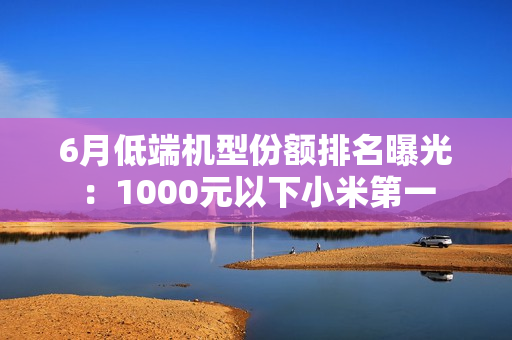 6月低端机型份额排名曝光：1000元以下小米第一