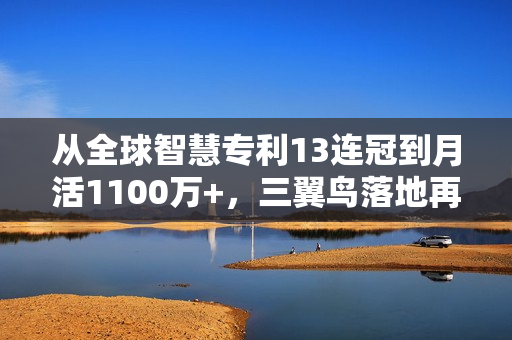 从全球智慧专利13连冠到月活1100万+,三翼鸟落地再加速 从全球智慧专利13连冠到月活1100万+,三翼鸟落地再加速