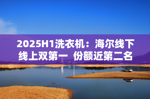 2025H1洗衣机：海尔线下线上双第一  份额近第二名两倍