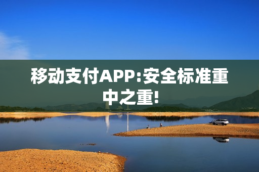 移动支付APP:安全标准重中之重!