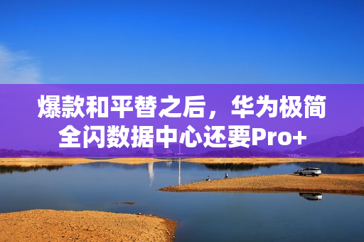 爆款和平替之后，华为极简全闪数据中心还要Pro+