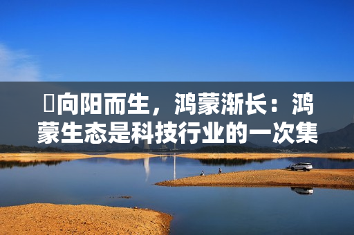 ​向阳而生，鸿蒙渐长：鸿蒙生态是科技行业的一次集体冲锋