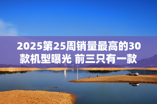 2025第25周销量最高的30款机型曝光 前三只有一款国产