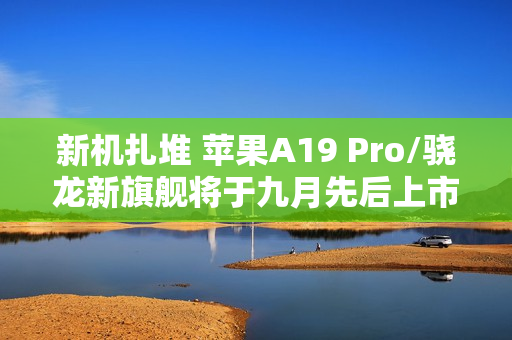 新机扎堆 苹果A19 Pro/骁龙新旗舰将于九月先后上市