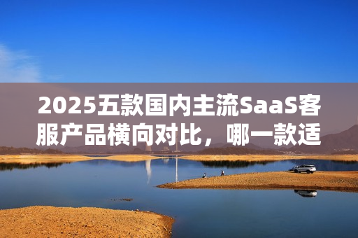 2025五款国内主流SaaS客服产品横向对比，哪一款适合您？