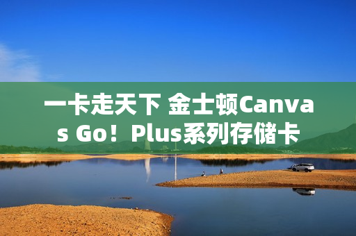 一卡走天下 金士顿Canvas Go!Plus系列存储卡 一卡走天下 金士顿Canvas Go!Plus系列存储卡