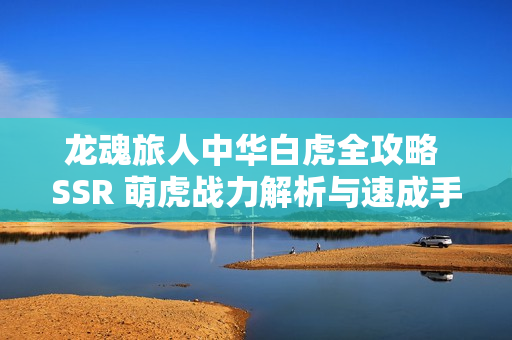 龙魂旅人中华白虎全攻略 SSR 萌虎战力解析与速成手册 龙魂旅人中华白虎全攻略 SSR 萌虎战力解析与速成手册