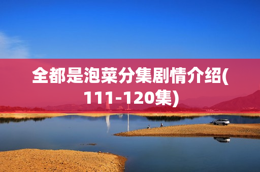 全都是泡菜分集剧情介绍(111-120集)