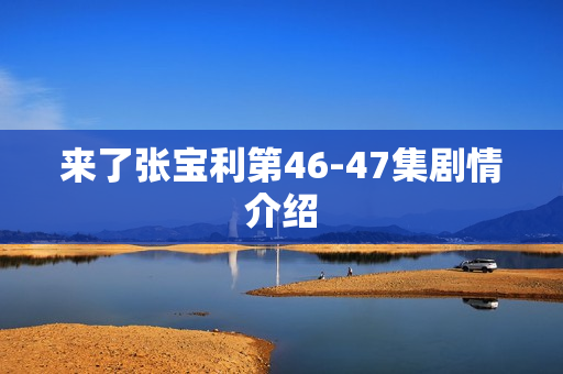 来了张宝利第46-47集剧情介绍