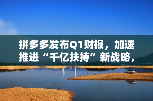 拼多多发布Q1财报，加速推进“千亿扶持”新战略，先商家后平台扶持产业生态