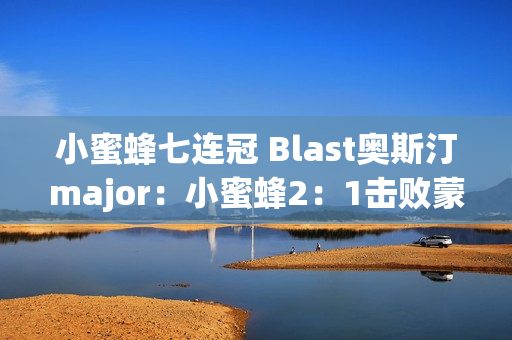 小蜜蜂七连冠 Blast奥斯汀major：小蜜蜂2：1击败蒙古获得冠军