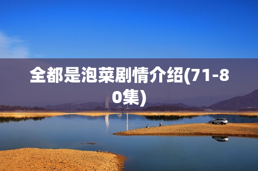 全都是泡菜剧情介绍(71-80集) 全都是泡菜剧情介绍(71-80集)