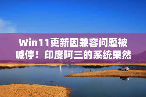 Win11更新因兼容问题被喊停！印度阿三的系统果然不行