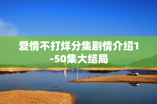 爱情不打烊分集剧情介绍1-50集大结局