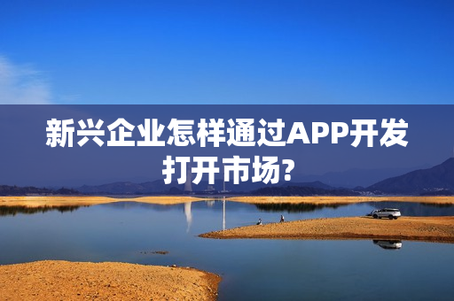 新兴企业怎样通过APP开发打开市场?