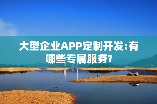 大型企业APP定制开发:有哪些专属服务?