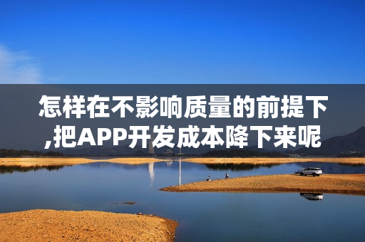 怎样在不影响质量的前提下,把APP开发成本降下来呢?
