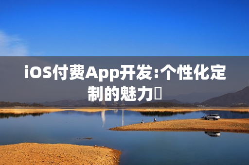 iOS付费App开发:个性化定制的魅力‌