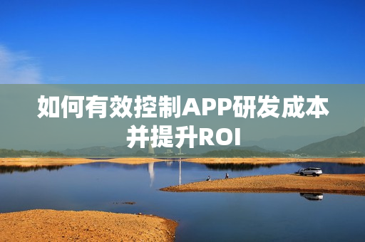 如何有效控制APP研发成本并提升ROI