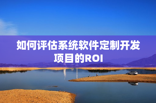 如何评估系统软件定制开发项目的ROI