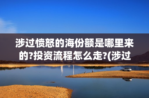 涉过愤怒的海份额是哪里来的?投资流程怎么走?(涉过愤怒的海没过审)