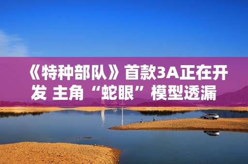 《特种部队》首款3A正在开发 主角“蛇眼”模型透漏