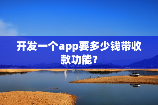 开发一个app要多少钱带收款功能？