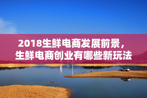 2018生鲜电商发展前景， 生鲜电商创业有哪些新玩法