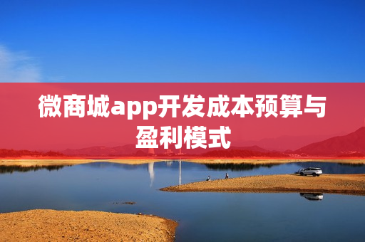 微商城app开发成本预算与盈利模式