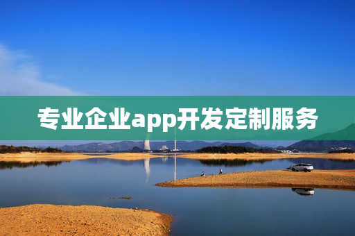 专业企业app开发定制服务 专业企业app开发定制服务
