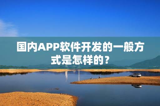 国内APP软件开发的一般方式是怎样的？