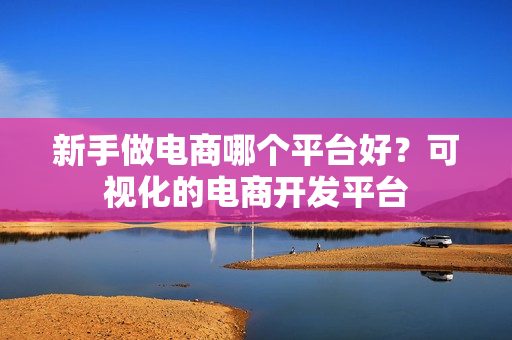 新手做电商哪个平台好？可视化的电商开发平台