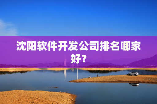 沈阳软件开发公司排名哪家好？