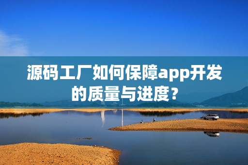 源码工厂如何保障app开发的质量与进度？