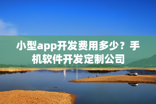 小型app开发费用多少？手机软件开发定制公司