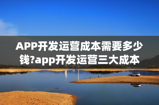 APP开发运营成本需要多少钱?app开发运营三大成本