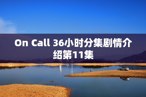 On Call 36小时分集剧情介绍第11集