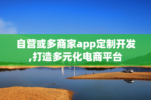 自营或多商家app定制开发,打造多元化电商平台