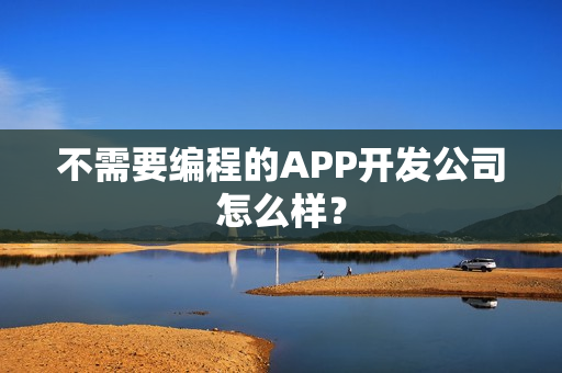 不需要编程的APP开发公司怎么样? 不需要编程的APP开发公司怎么样?