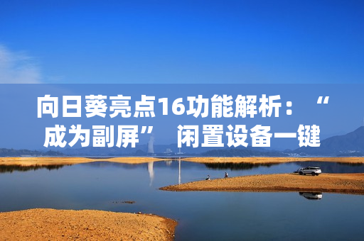 向日葵亮点16功能解析：“成为副屏”  闲置设备一键化身拓展屏