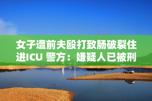 女子遭前夫殴打致肠破裂住进ICU 警方：嫌疑人已被刑拘