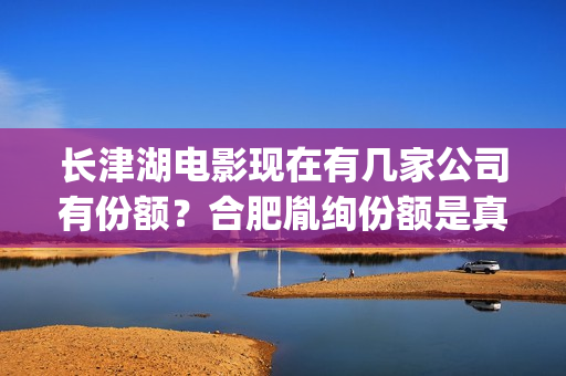 长津湖电影现在有几家公司有份额？合肥胤绚份额是真是的吗？(长津湖电影首映)