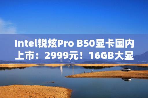 Intel锐炫Pro B50显卡国内上市：2999元！16GB大显存
