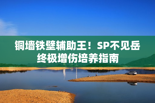 铜墙铁壁辅助王！SP不见岳终极增伤培养指南