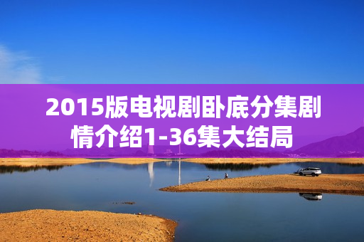 2015版电视剧卧底分集剧情介绍1-36集大结局