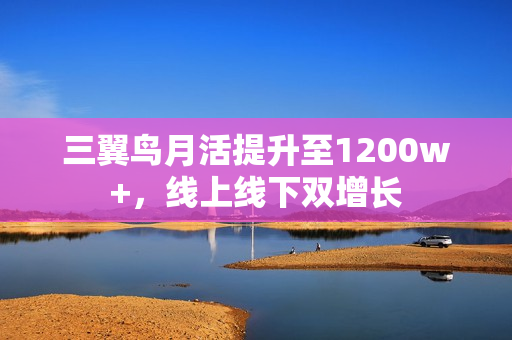 三翼鸟月活提升至1200w+，线上线下双增长